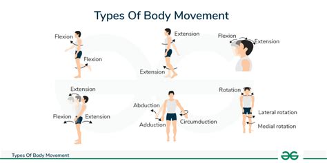 what is abduction movement|12.6: Types of Body Movements .